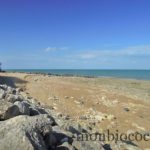 ile-d-oleron-gironde-decouverte-4