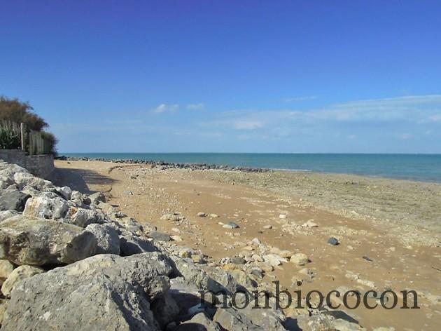 ile-d-oleron-gironde-decouverte-4