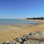 ile-d-oleron-gironde-decouverte-5