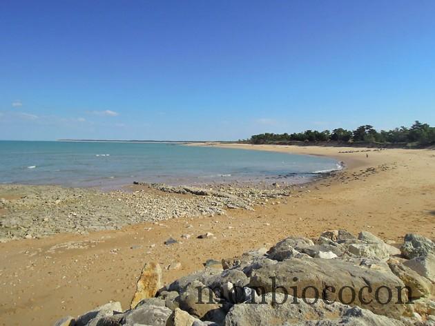 ile-d-oleron-gironde-decouverte-5