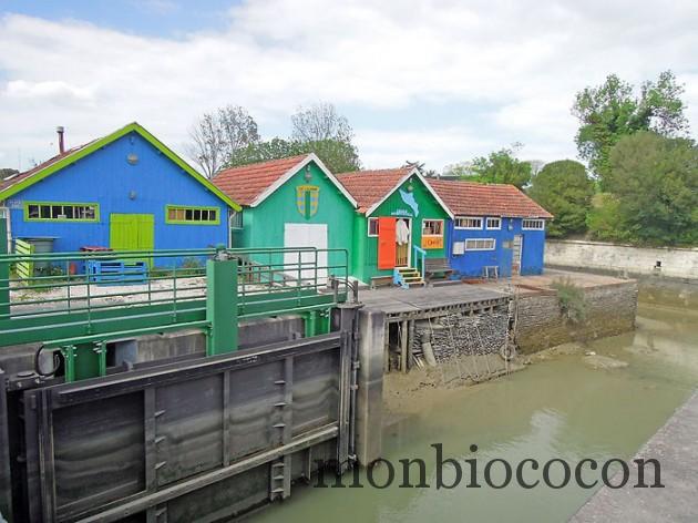 ile-d-oleron-gironde-decouverte