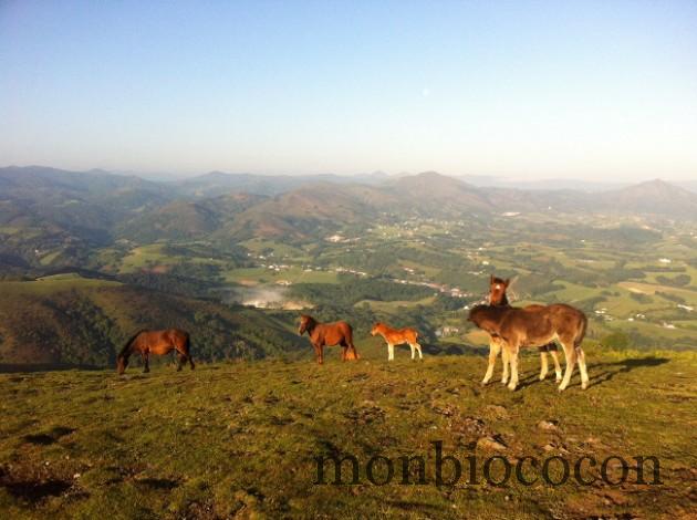 pays-basque-randonnee-mondarrain