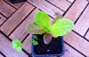 Quoi de neuf (encore) par ici ? #3