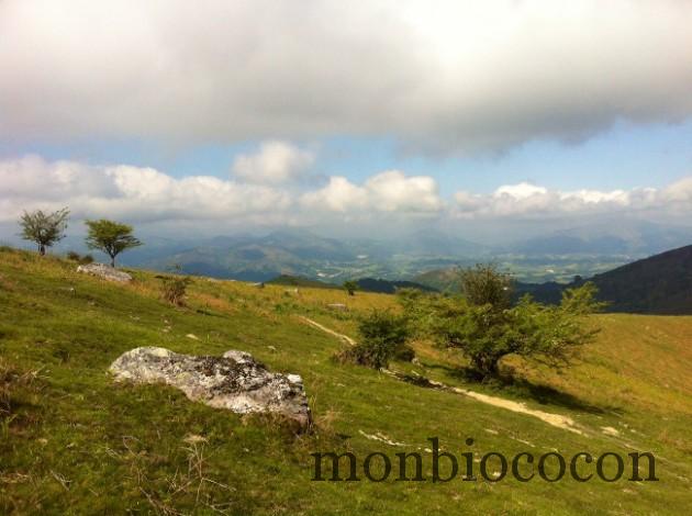 randonnee-pays-basque-montdarrin-ainhoa