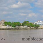 talmont-sur-gironde-0