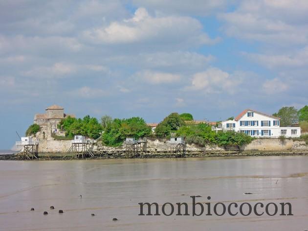 talmont-sur-gironde-0