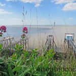 talmont-sur-gironde-8
