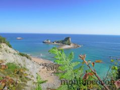 Quoi de neuf (encore) par ici #5