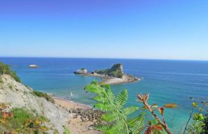 Quoi de neuf (encore) par ici #5