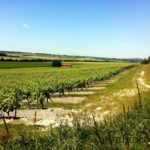 campagne-charente