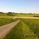 charente-campagne-vignobles