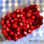 fraises-des-bois-campagne-france