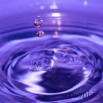 goutte