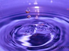 Goutte après goutte