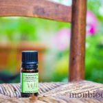 huiles-essentielles-anti-moustique-insectes-