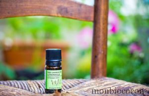 Comment repousser les moustiques avec des produits naturels