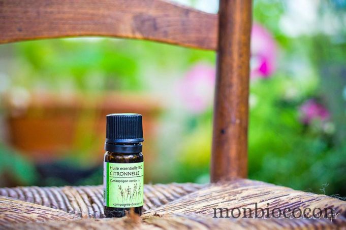Comment repousser les moustiques avec des produits naturels