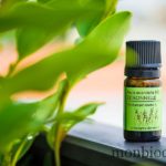 huiles-essentielles-anti-moustique-insectes-6