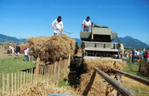Fête (faites) de la Batteuse