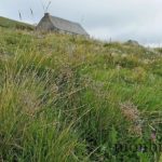 buron-puy-gudette-randonnee-aubrac-aveyron-0