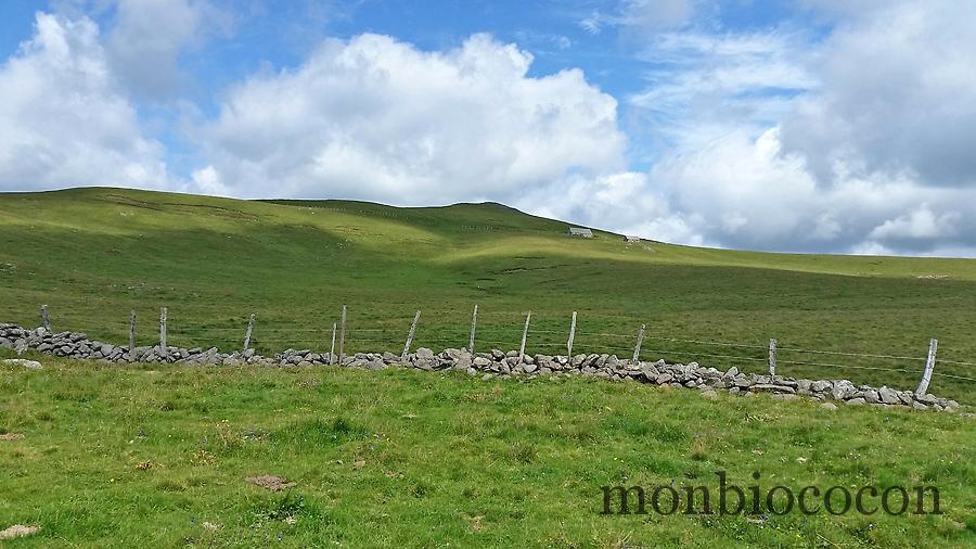 buron-puy-gudette-randonnee-aubrac-aveyron-8