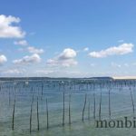 cap-ferret-photo-ocean-banc-arguin-1