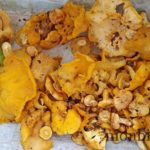 cepes-girolles-foret