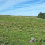 photo-randonnee-plateau-aubrac-aveyron-lozere-3