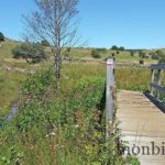 randonnee-aubrac-GR65-GR6-GRP-tour-monts-aubrac-à