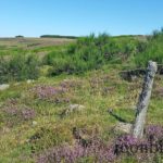 randonnee-aubrac-lozere-col-de-bonnecombe-3