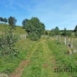randonnee-aubrac-roc-guiral-les-enguilhens-