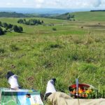 randonnee-aubrac-roc-guiral-les-enguilhens