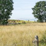 randonnee-aubrac-roc-guiral-les-enguilhens-5