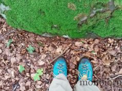 Moi, l’Aubrac & mes randos estivales