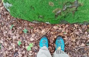 Moi, l’Aubrac & mes randos estivales