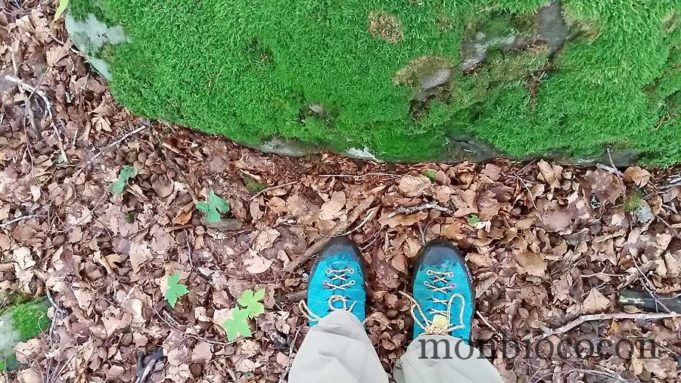 Moi, l’Aubrac & mes randos estivales