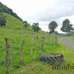randonnee-saint-chely-aubrac-bois-champignons-3