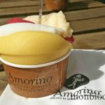 sorbet-amorino-rue-porte-dijeaux-bordeaux
