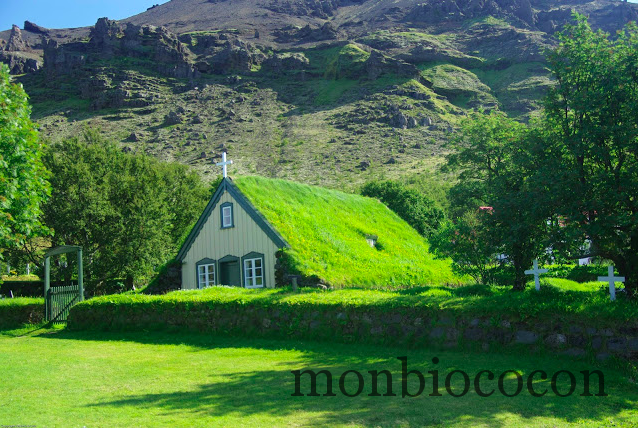 Economiser pour…quoi ?