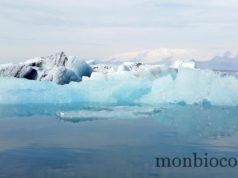 Road trip en Islande : les premières photos