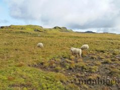 Islande : ces petites choses que tu ignores 2/2