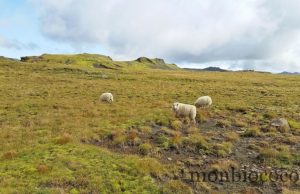 Islande : ces petites choses que tu ignores 2/2