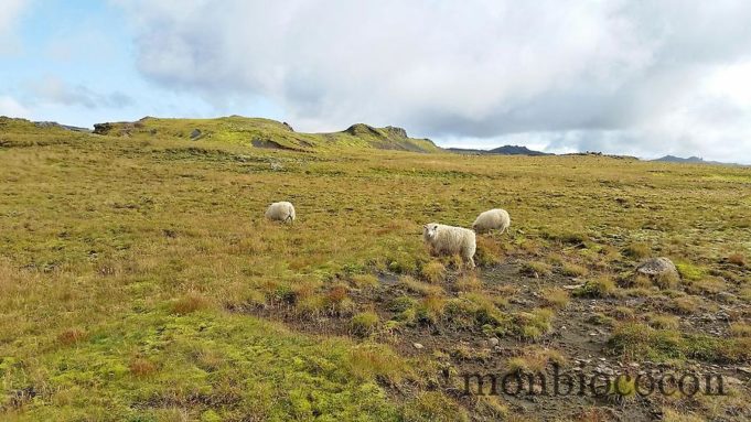 Islande : ces petites choses que tu ignores 2/2