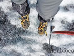 Roadtrip in Iceland : marche sur glacier et découverte de Dirolaey