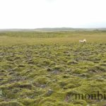 islande-roadtrip-travel-day-1-5