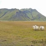 roadtrip-islande-photos