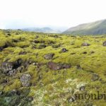 roadtrp-iceland-photos-24
