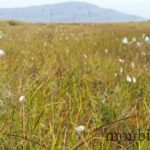islande-roadtrip-photos-voyage-11