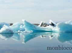 Roadtrip in Iceland : Jökulsárlón, route de Jöklasel et glacier