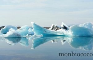 Roadtrip in Iceland : Jökulsárlón, route de Jöklasel et glacier